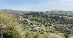 Land for Sale in Fatre – Qartaba Road, 870 sqm open panoramic view #6727