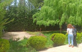 anjar house 90 sqm + 200 sqm garden with 417 sqm land for sale #6728