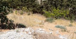 maalaka land 1,005 sqm for sale open view #6708