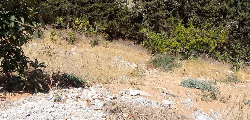 maalaka land 1,005 sqm for sale open view #6708