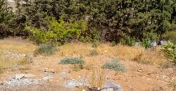 maalaka land 1,005 sqm for sale open view #6708