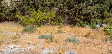 maalaka land 1,005 sqm for sale open view #6708