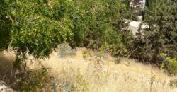 maalaka land 1,005 sqm for sale open view #6708