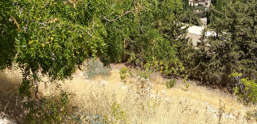 maalaka land 1,005 sqm for sale open view #6708