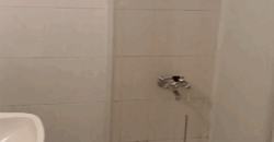 rassieh fully furnished apartment 110 sqm for rent #6694