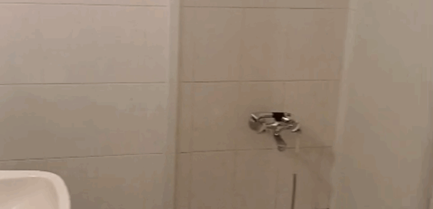 rassieh fully furnished apartment 110 sqm for rent #6694