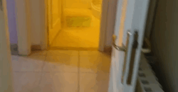 rassieh fully furnished apartment 110 sqm for rent #6694
