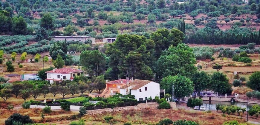 Spain Get your residency! apartment in a strategic location 007105