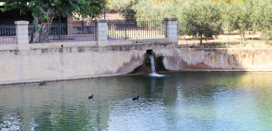 Spain Get your residency! apartment in a strategic location 007105