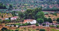 Spain Get your residency! apartment centrally located at the best price 007095