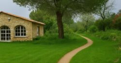 Spain Get your residency! rural house in the heart of nature with land 007145