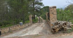 Spain Get your residency! rural house in the heart of nature with land 007145