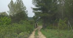 Spain Get your residency! rural house in the heart of nature with land 007145