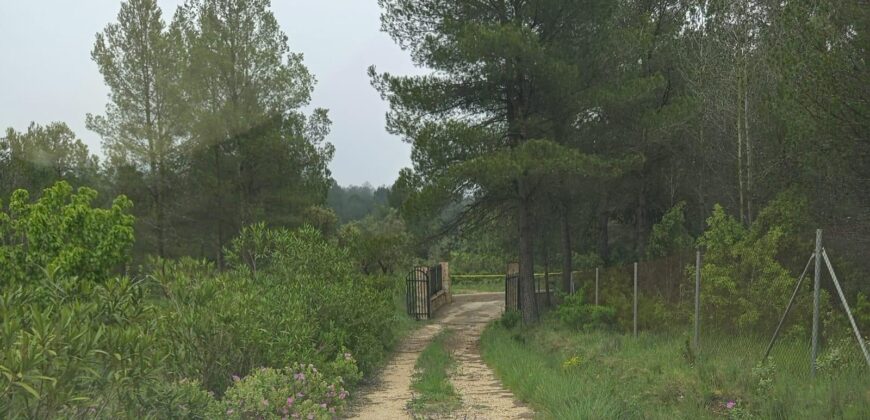 Spain Get your residency! rural house in the heart of nature with land 007145