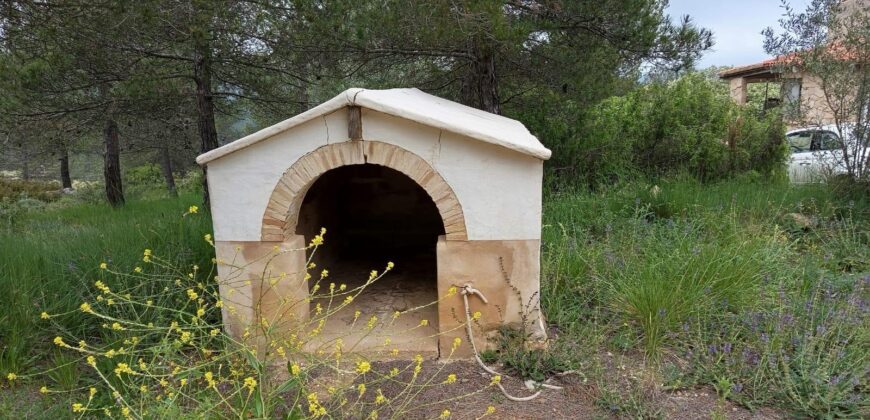 Spain Get your residency! rural house in the heart of nature with land 007145