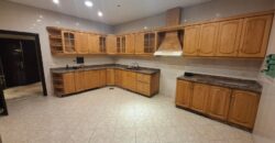 sehayleh partly furnished villa 280 sqm + 300 sqm garden #6745