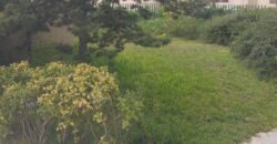 bsalim apartment 200 sqm + terrace for rent, shared pool & green area #6750