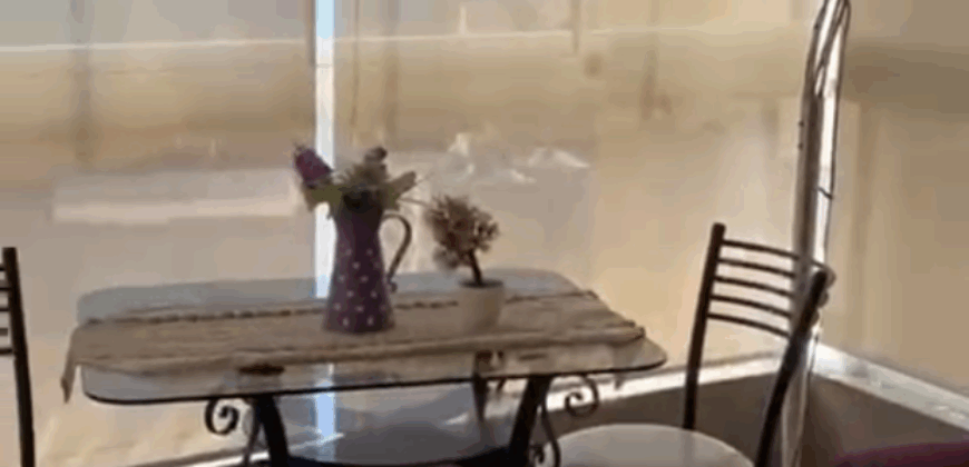 bqenneya fully furnished new apartment for rent sea & mountain view #6740