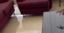 bqenneya fully furnished new apartment for rent sea & mountain view #6740