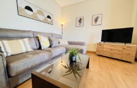 Spain Get your residency! GF apartment completely renovated SVM744218