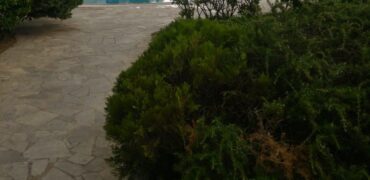 bsalim apartment 200 sqm + terrace for rent, shared pool & green area #6750
