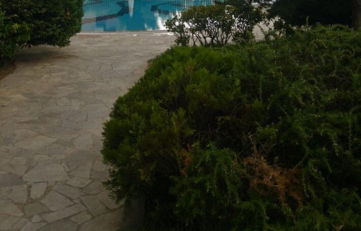 bsalim apartment 200 sqm + terrace for rent, shared pool & green area #6750