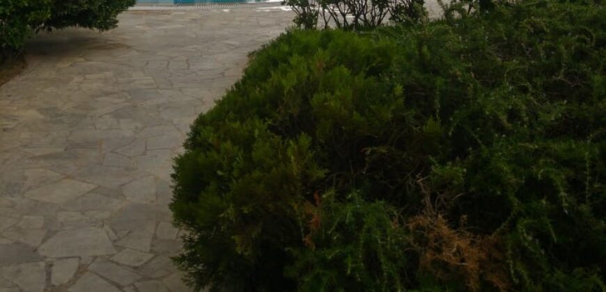 bsalim apartment 200 sqm + terrace for rent, shared pool & green area #6750