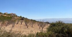 maalaka aradi land 2198 sqm for sale #6744
