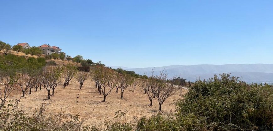 maalaka aradi land 2198 sqm for sale #6744