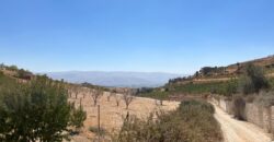 maalaka aradi land 2198 sqm for sale #6744