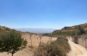 maalaka aradi land 2198 sqm for sale #6744