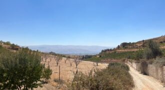 maalaka aradi land 2198 sqm for sale #6744