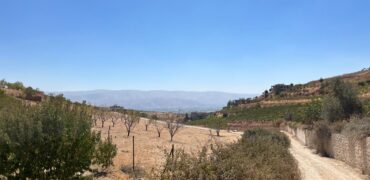 maalaka aradi land 2198 sqm for sale #6744