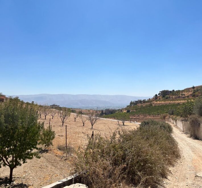 maalaka aradi land 2198 sqm for sale #6744