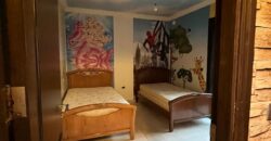 zahle apartment fully furnished with Free electricity Ref # 6752
