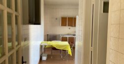 Achrafieh fully furnished spacious apartment 250 sqm for rent #6753