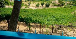 Zahle small villa with 3000 sqm land prestigious neighborhood for rent Ref # 6767 Zahle small villa with 3000 sqm land prestigious neighborhood for rent Ref # 6767