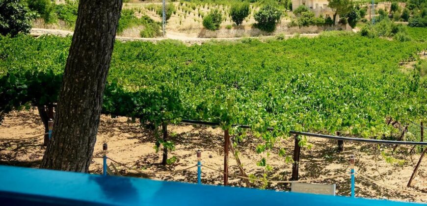 Zahle small villa with 3000 sqm land prestigious neighborhood for rent Ref # 6767 Zahle small villa with 3000 sqm land prestigious neighborhood for rent Ref # 6767