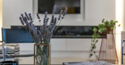 Zahle small villa with 3000 sqm land prestigious neighborhood for rent Ref # 6767 Zahle small villa with 3000 sqm land prestigious neighborhood for rent Ref # 6767