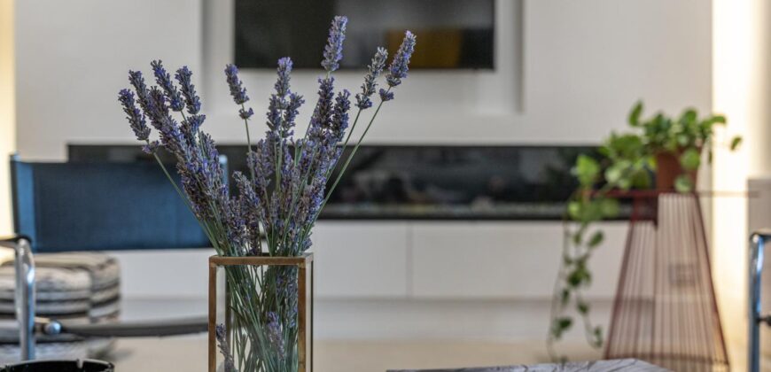 Zahle small villa with 3000 sqm land prestigious neighborhood for rent Ref # 6767 Zahle small villa with 3000 sqm land prestigious neighborhood for rent Ref # 6767