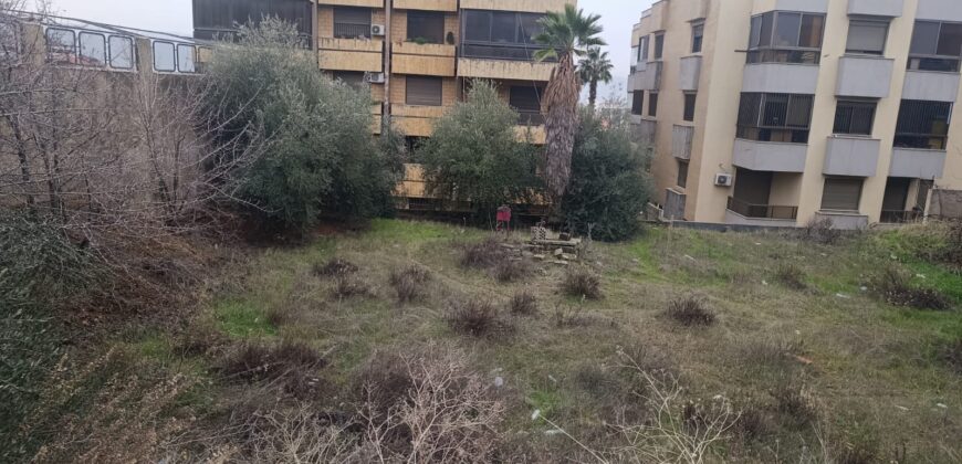 Zahle ksara prime location land 801 sqm prestigious neighborhood #6770