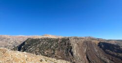 zahle hazzerta land 2000 sqm for sale #6756