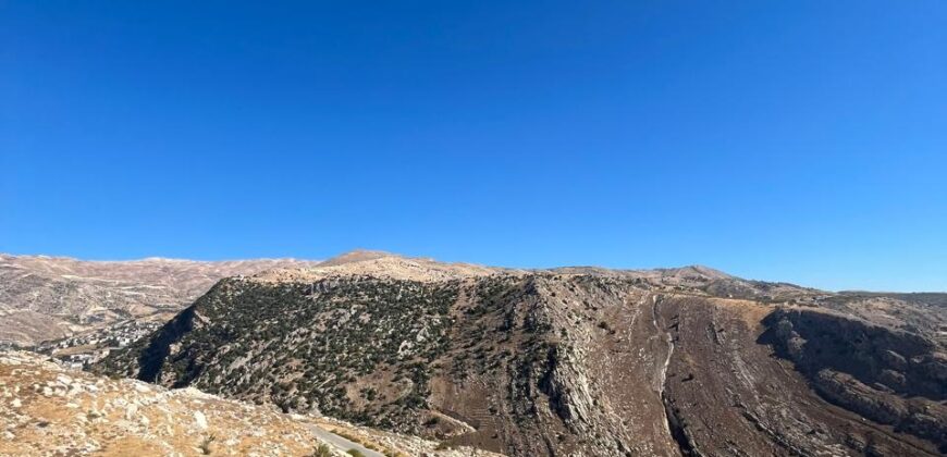 zahle hazzerta land 2000 sqm for sale #6756