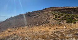 zahle hazzerta land 2000 sqm for sale #6756