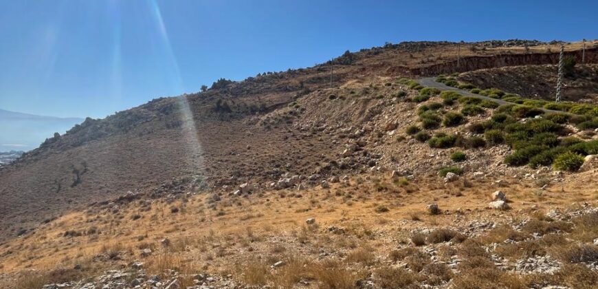 zahle hazzerta land 2000 sqm for sale #6756