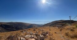 zahle hazzerta land 2000 sqm for sale #6756