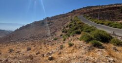 zahle hazzerta land 2000 sqm for sale #6756