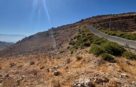 zahle hazzerta land 2000 sqm for sale #6756
