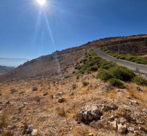 zahle hazzerta land 2000 sqm for sale #6756