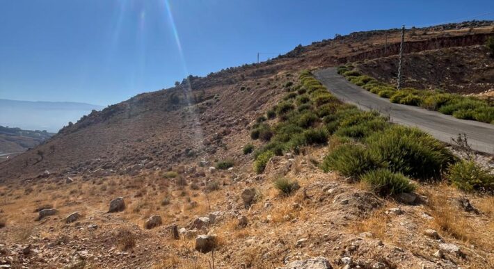 zahle hazzerta land 2000 sqm for sale #6756
